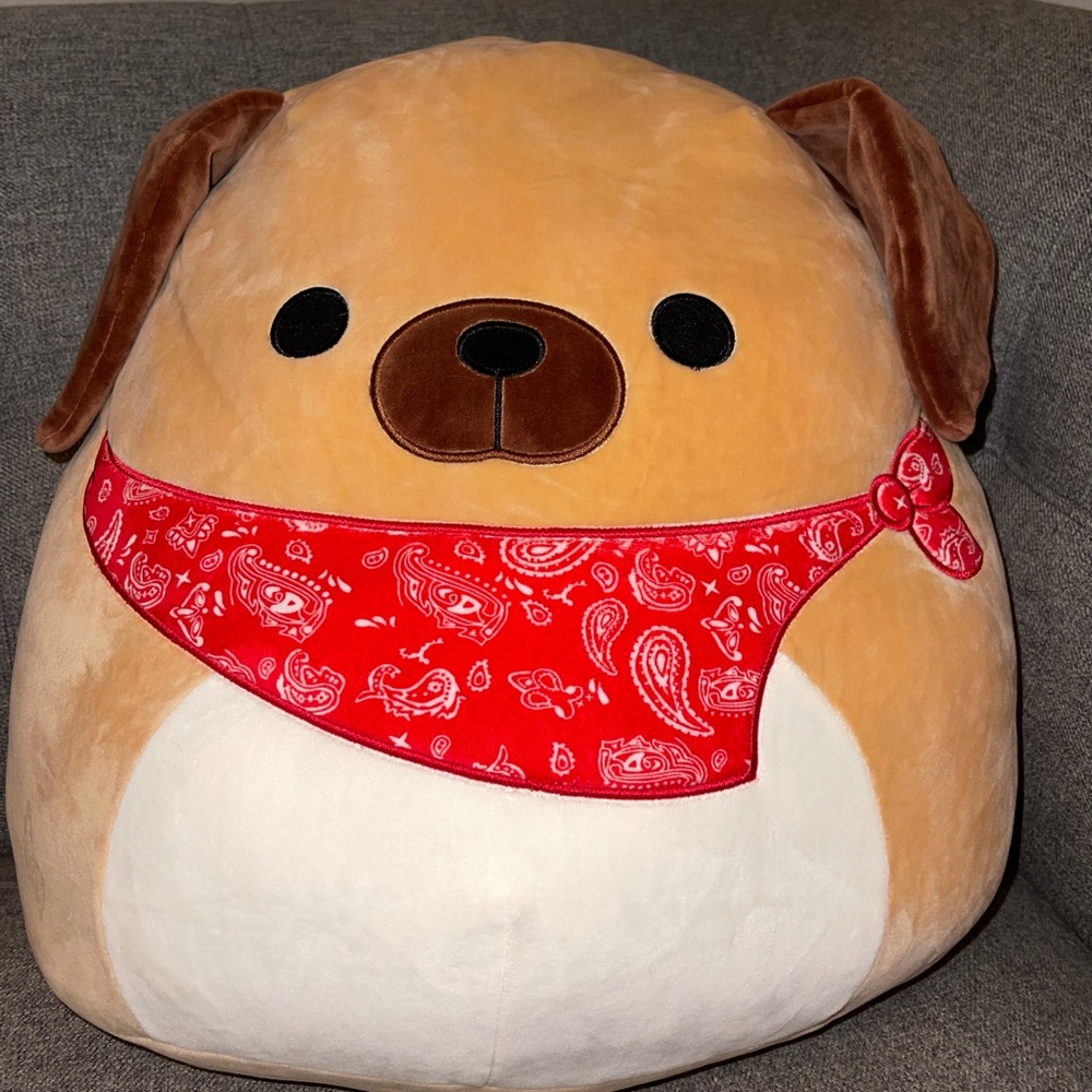 Squishmallow Daryl the Dog 16”